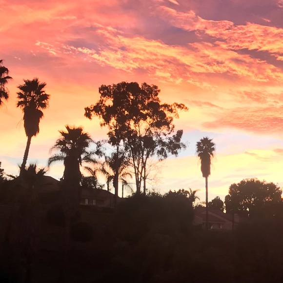 Meet your Posher, Katy - Picture 1 of 1